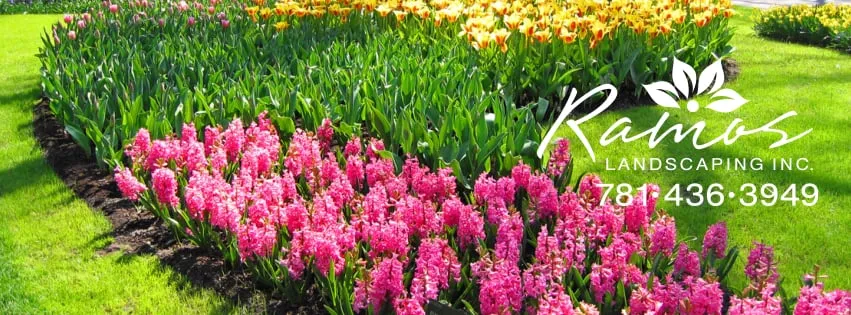 Professional lawn care service in Stoughton, MA - Ramos Landscaping