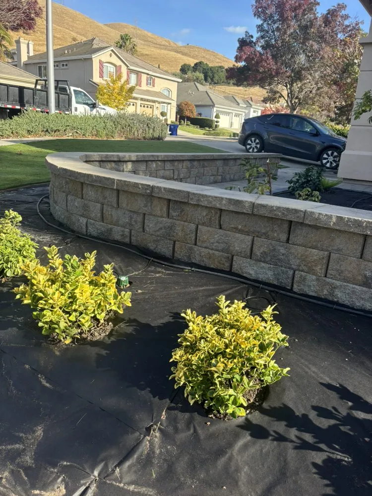 Professional landscape design for year-round maintenance across Sunnyvale, CA - Ramos Landscaping