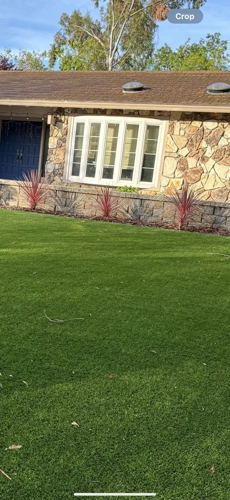 Expert lawn care service for year-round maintenance in Sunnyvale, CA by Ramos Landscaping