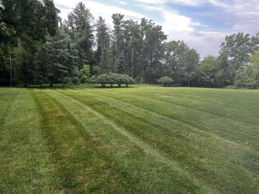 Custom yard cleanup service experts serving Fleetwood, PA - Ramos Lawn & Landscape