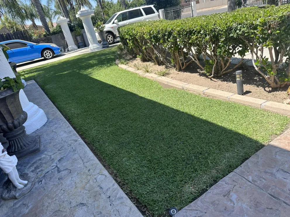 Local residential landscaping near you across Homeland, CA - Ramos Lawn care