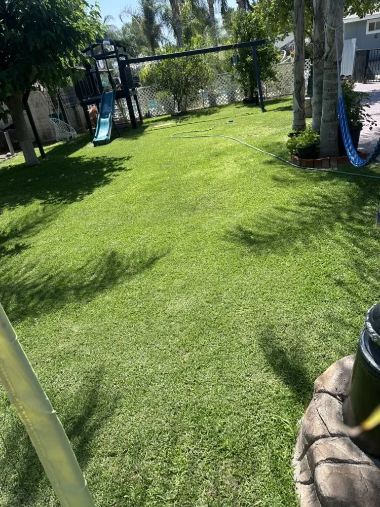 Top-rated landscaping services for year-round maintenance in Homeland, CA by Ramos Lawn care