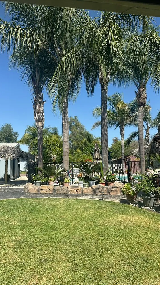 Trusted landscape design in Homeland, CA by Ramos Lawn care