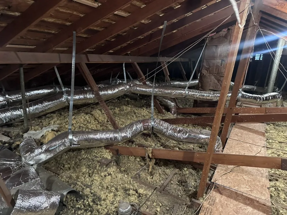 Custom yard cleanup service for homes across Homeland, CA - Ramos Lawn care