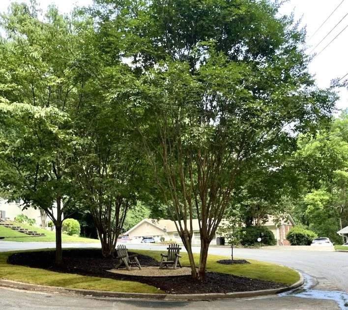 Professional yard maintenance for beautiful yards across Atlanta, GA - Ramos Lawn Care Services