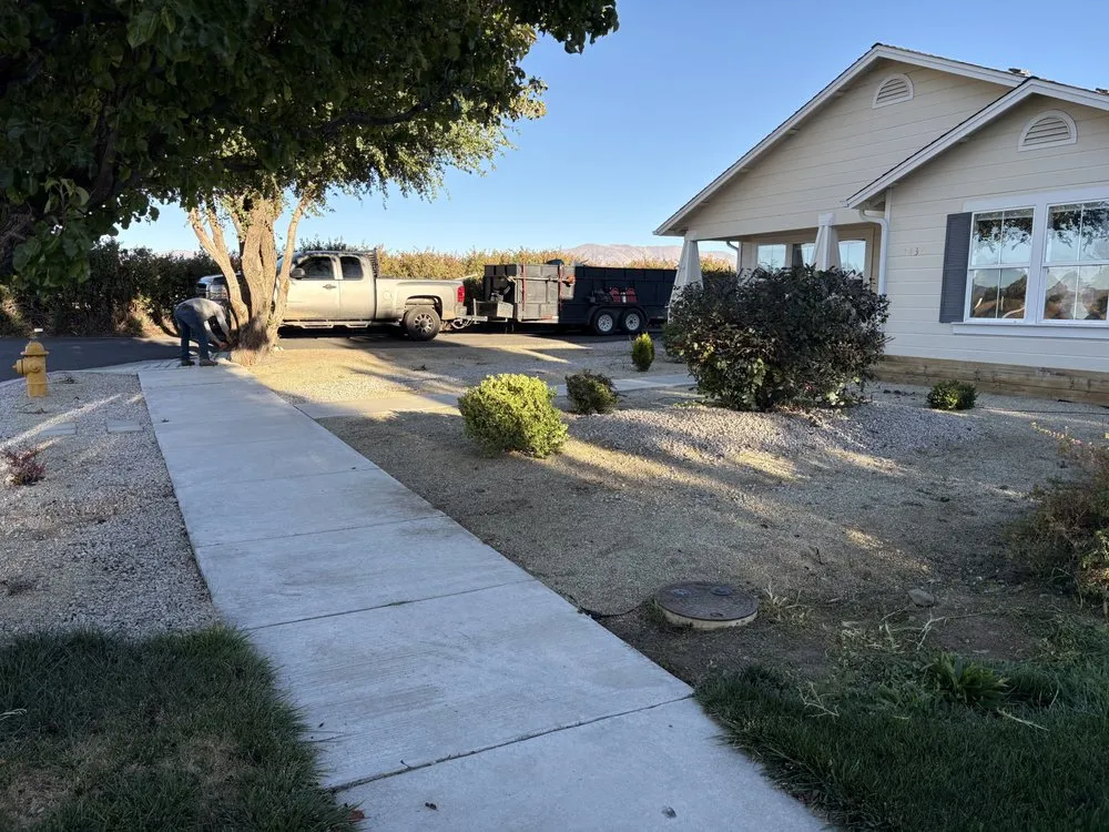 Top-rated yard cleanup service near you in Carson City, NV by Ramos lawn maintenance