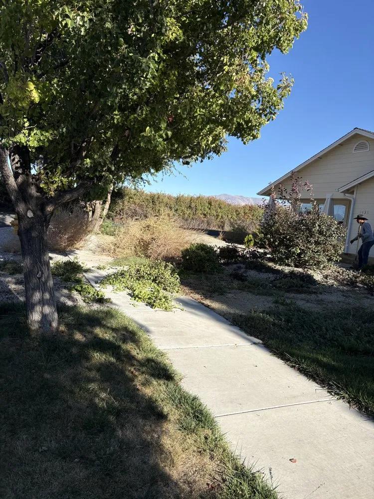 Professional lawn mowing service in Carson City, NV - Ramos lawn maintenance