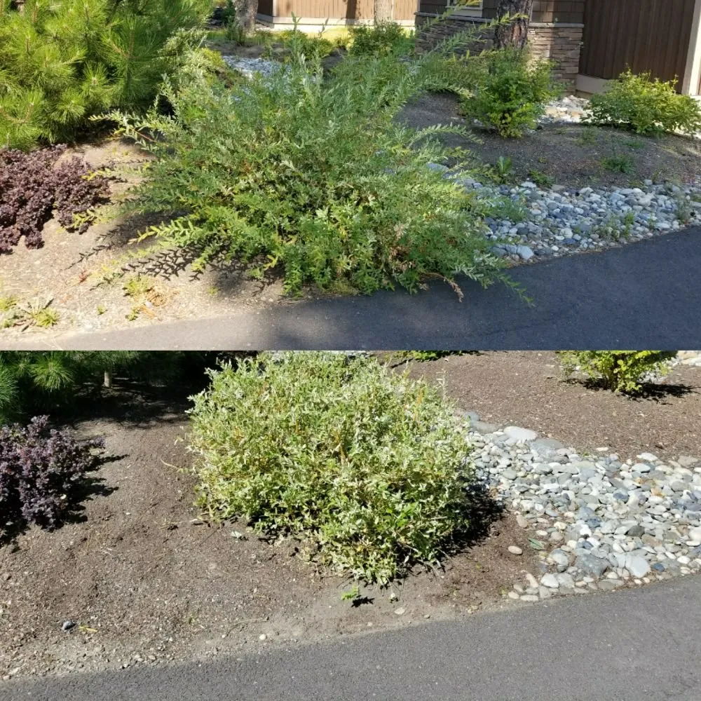 Affordable garden landscaping in Cle Elum, WA by Ramos Lawn Services