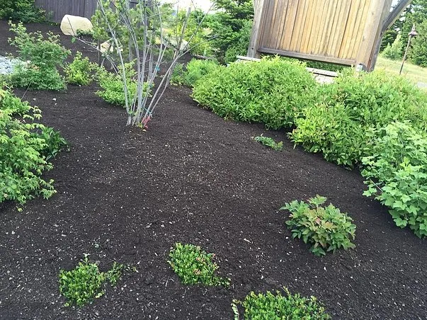 Trusted lawn mowing service in Cle Elum, WA by Ramos Lawn Services