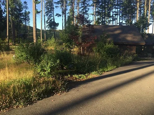 Affordable yard cleanup service in Cle Elum, WA by Ramos Lawn Services