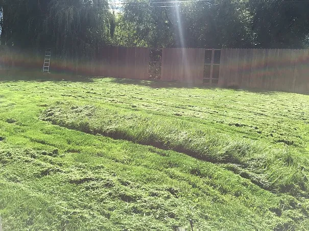 Reliable yard maintenance experts serving Cle Elum, WA - Ramos Lawn Services