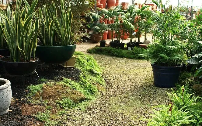 Local outdoor landscaping near you across Cle Elum, WA - Ramos Lawn Services