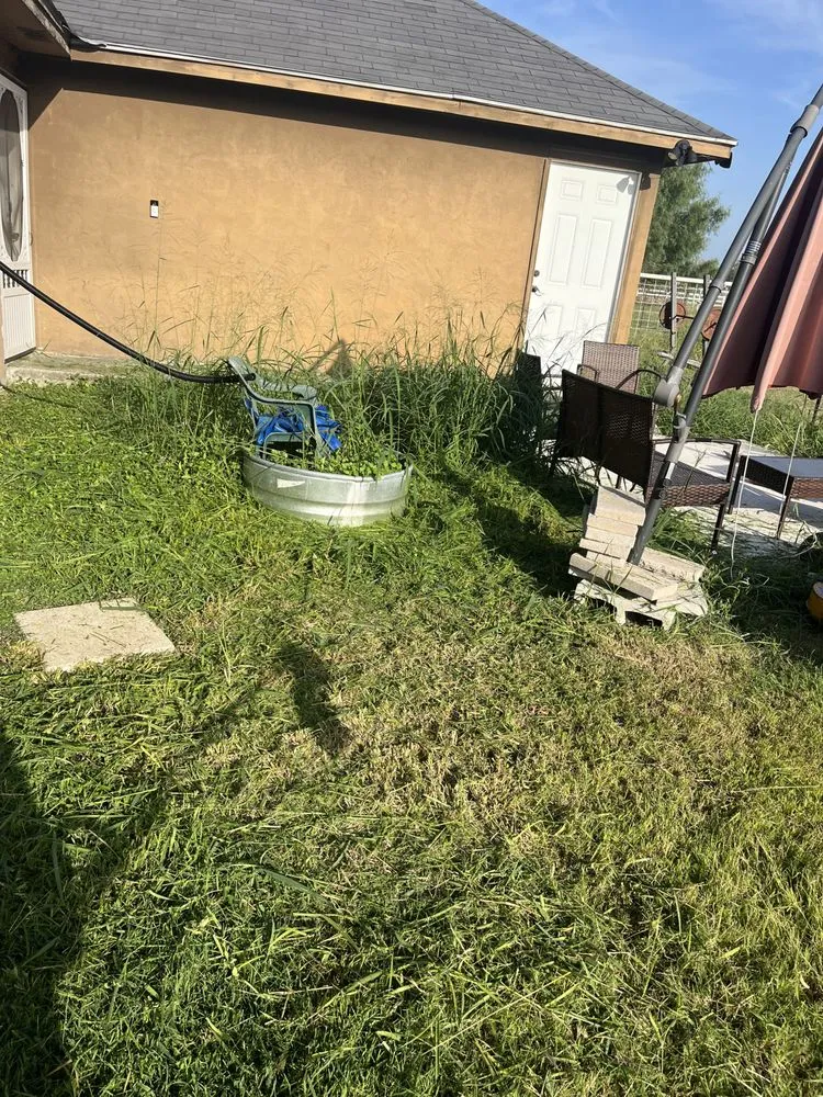 Expert lawn care service experts serving Edinburg, TX - Ramos Lawn Services