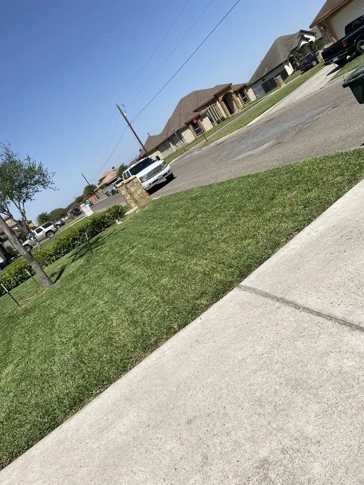 Professional residential landscaping for residential properties across Edinburg, TX - Ramos Lawn Services