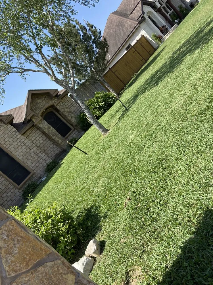 Top-rated landscaping services in Edinburg, TX - Ramos Lawn Services