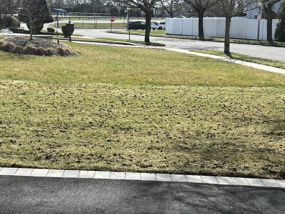 Local residential landscaping experts serving Brentwood, NY - Ramos Property Management