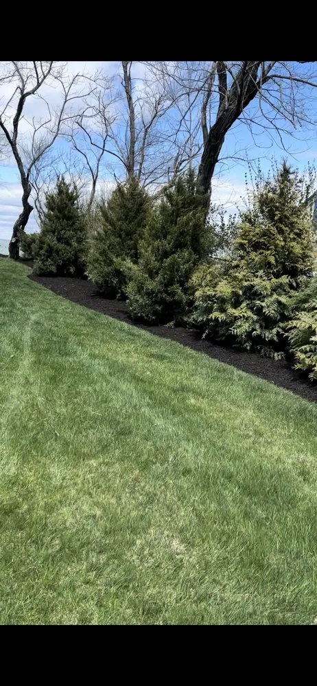 Affordable landscape design in Brentwood, NY by Ramos Property Management