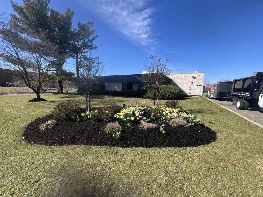 Affordable yard cleanup service in Brentwood, NY by Ramos Property Management