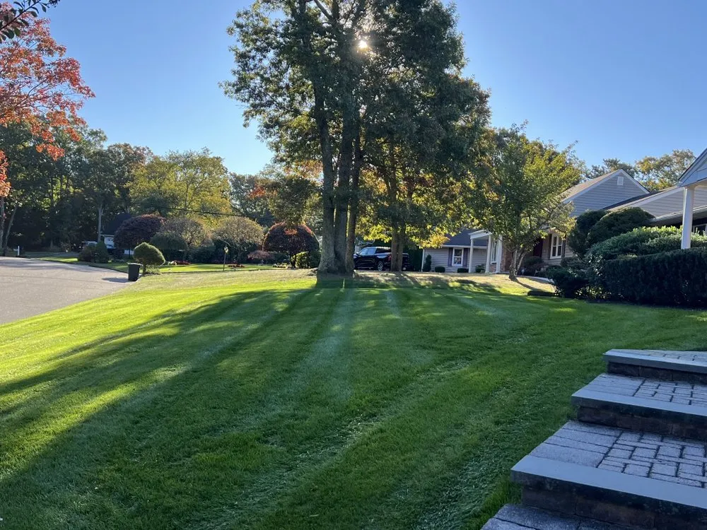 Local landscaping services for homes in Brentwood, NY by Ramos Property Management