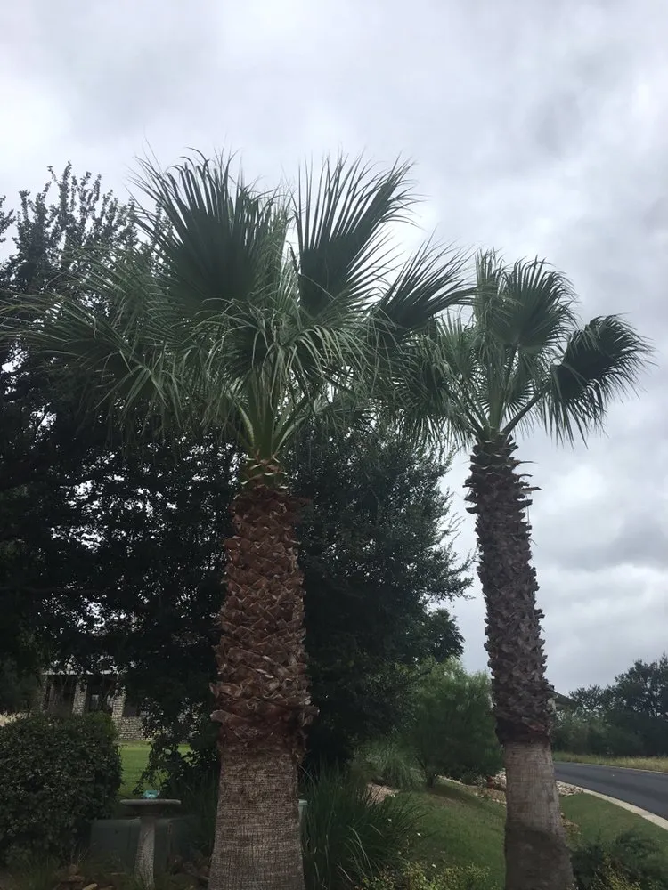 Affordable landscape design for beautiful yards in Marble Falls, TX by Ramos Services