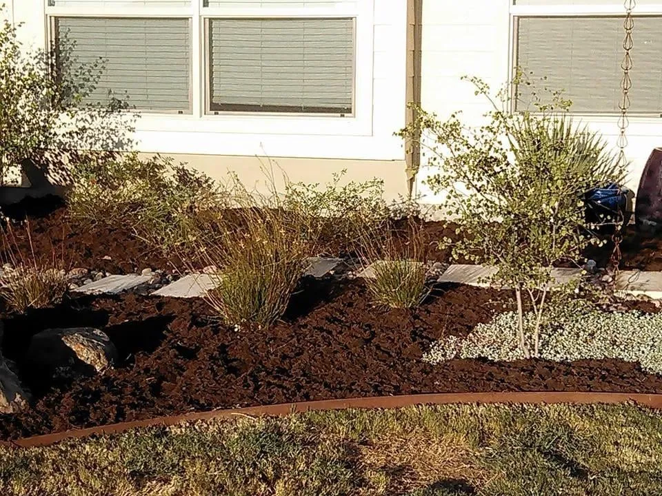 Top-rated lawn care service for residential properties in Marble Falls, TX by Ramos Services