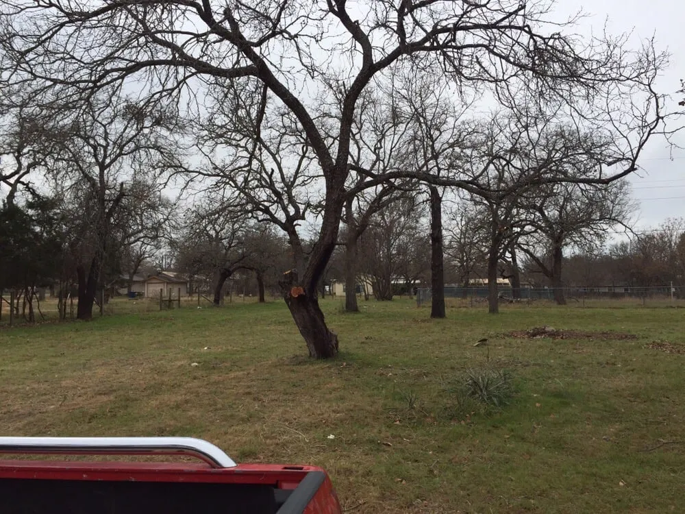 Reliable garden landscaping in Marble Falls, TX - Ramos Services