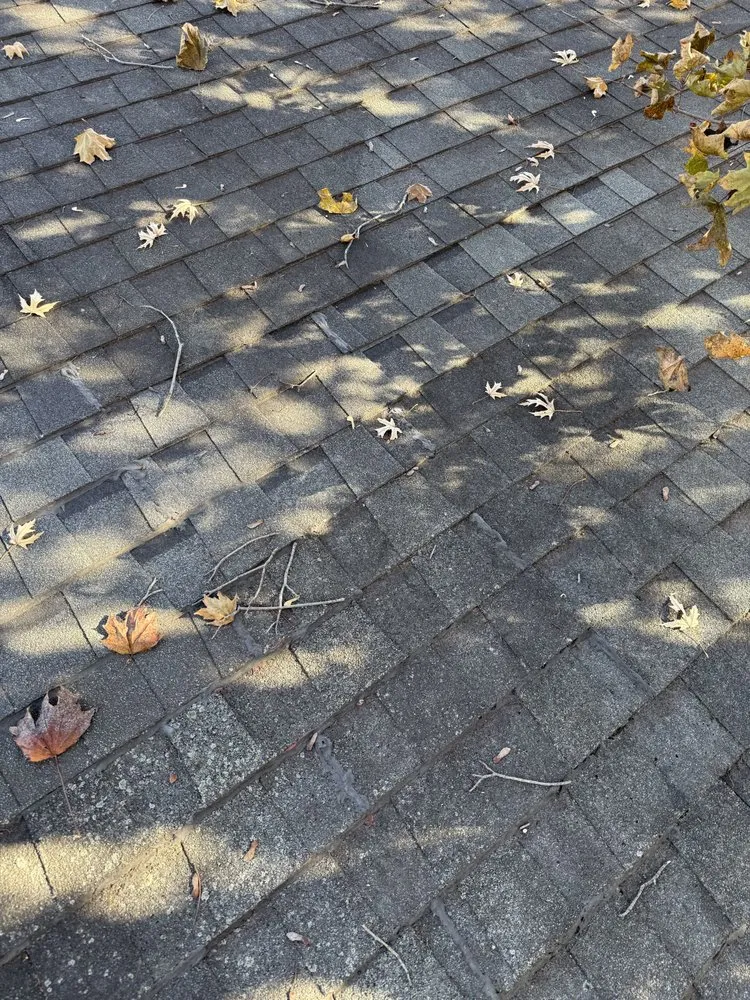 Affordable lawn care service for residential properties in St Joseph, MO by Ramos Services