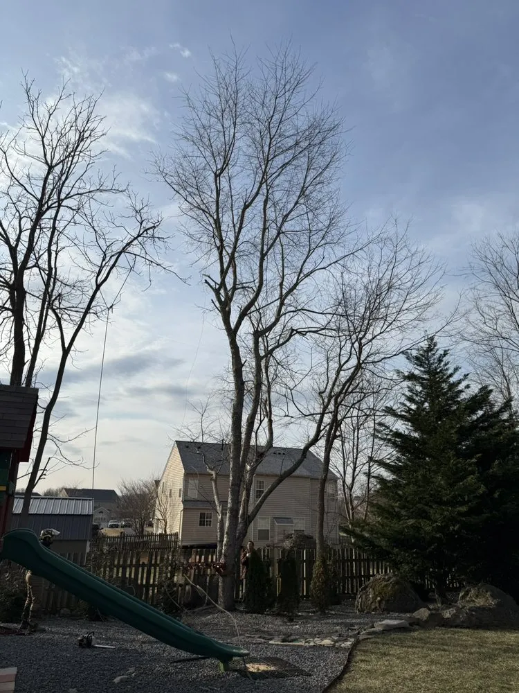 Affordable lawn mowing service in Culpeper, VA by Ramos Tree and Landscaping Service