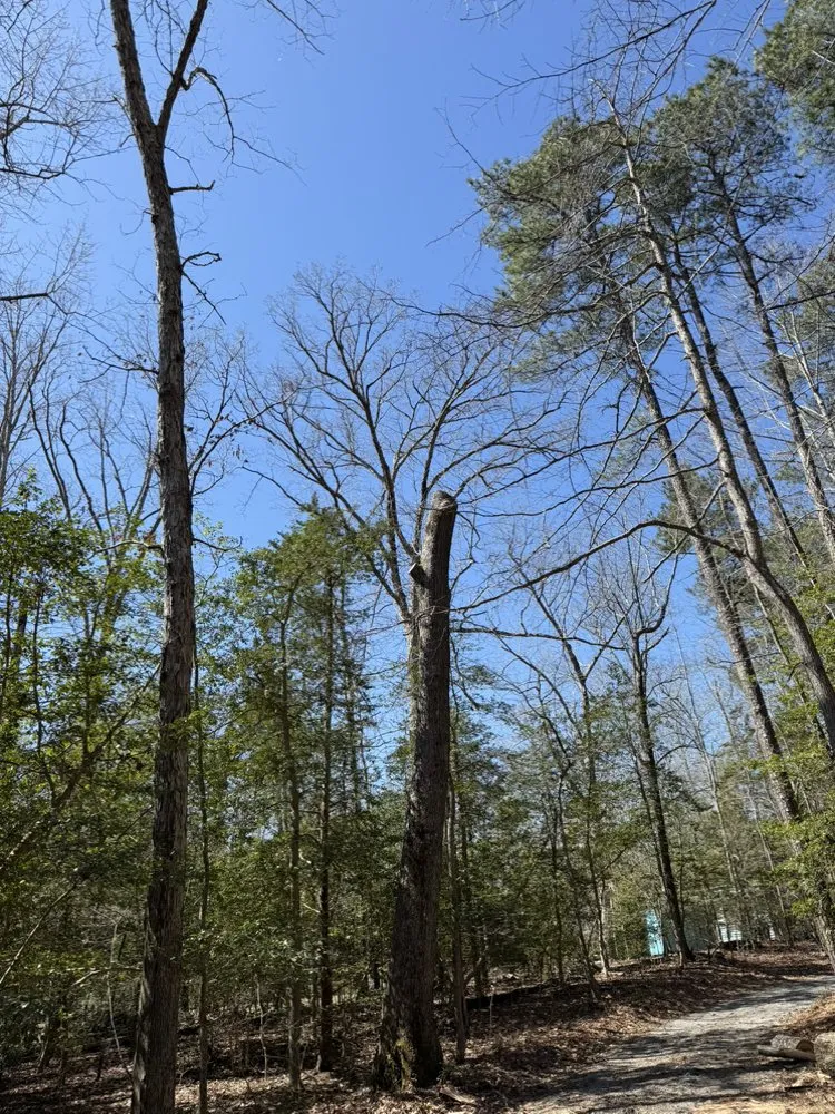 Custom landscape design experts serving Culpeper, VA - Ramos Tree and Landscaping Service