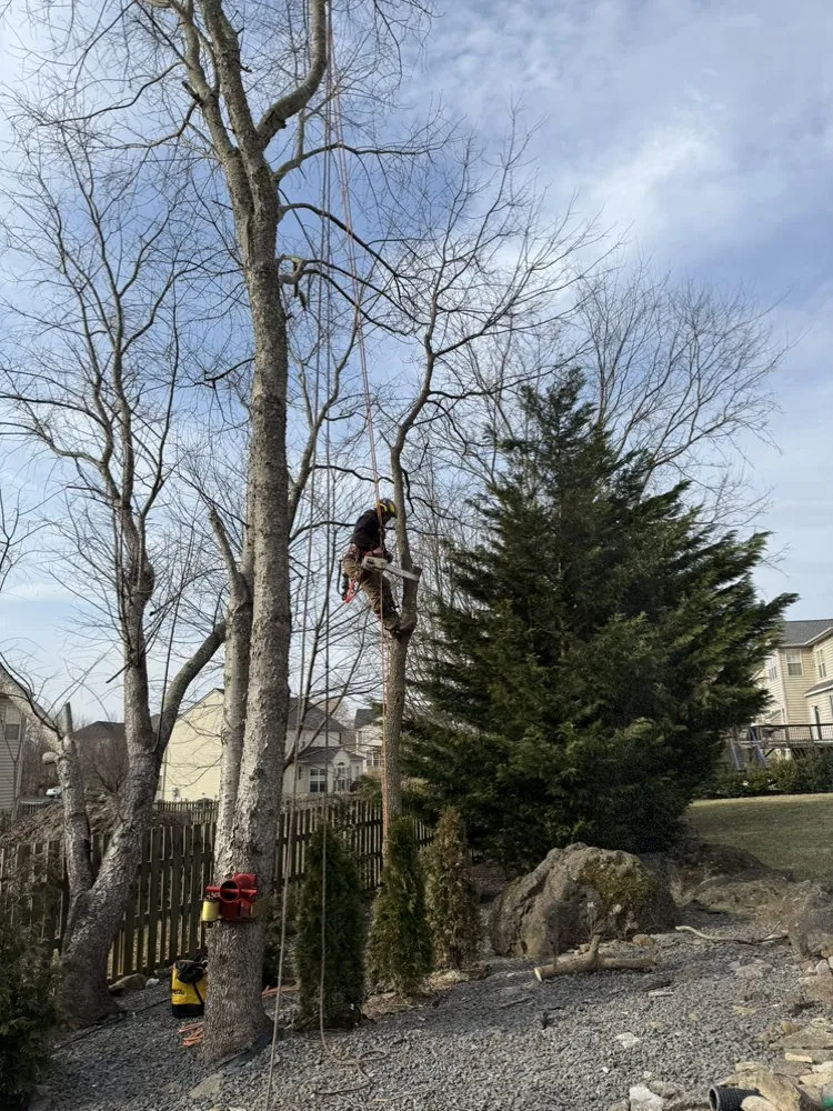 Trusted garden landscaping in Culpeper, VA - Ramos Tree and Landscaping Service