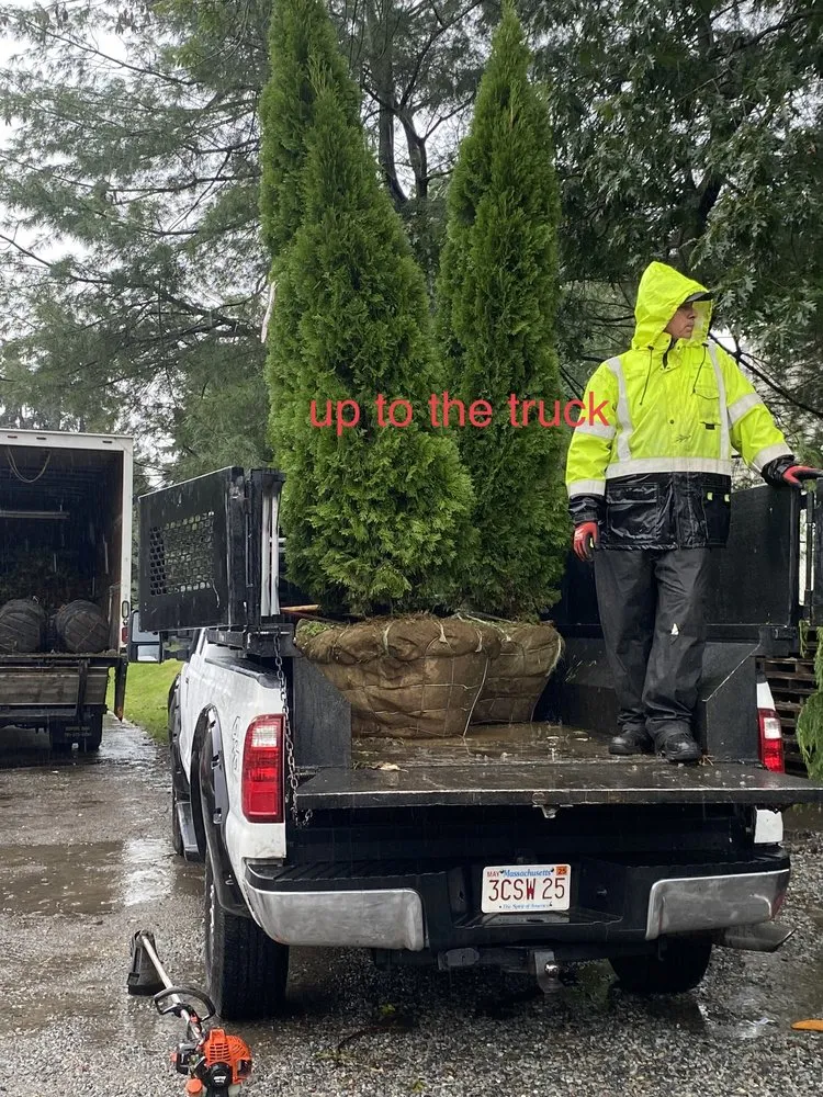 Reliable garden landscaping for beautiful yards across Revere, MA - Ramos Tree Planting & Landscaping