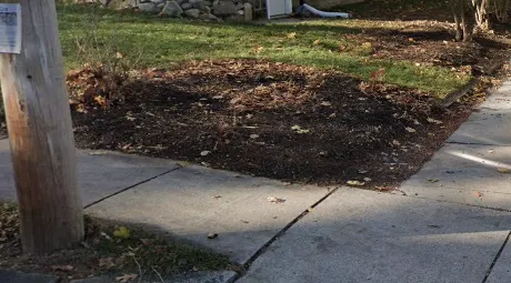 Custom yard maintenance for year-round maintenance in Revere, MA by Ramos Tree Planting & Landscaping