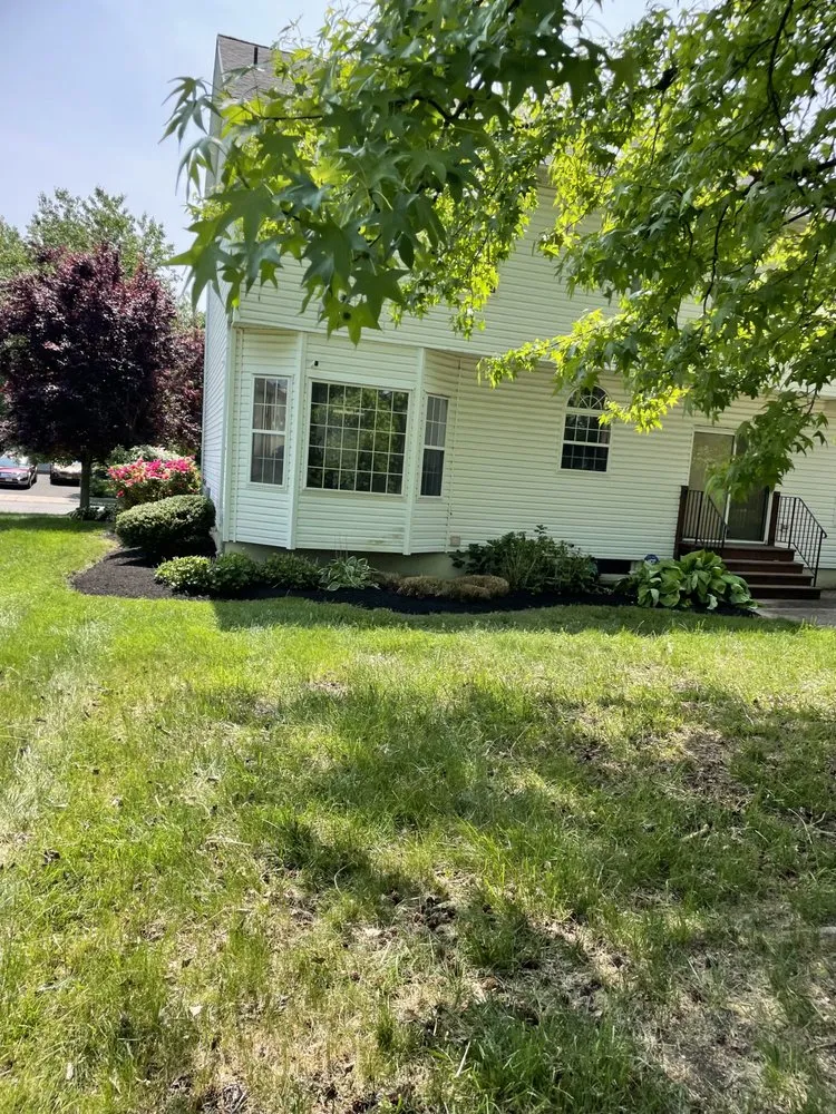 Affordable yard cleanup service for beautiful yards across Trenton, NJ - Ramos Tree Service And Landscaping