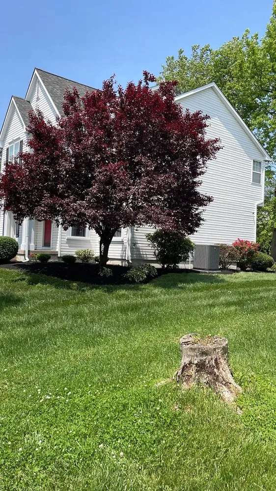 Affordable outdoor landscaping in Trenton, NJ by Ramos Tree Service And Landscaping