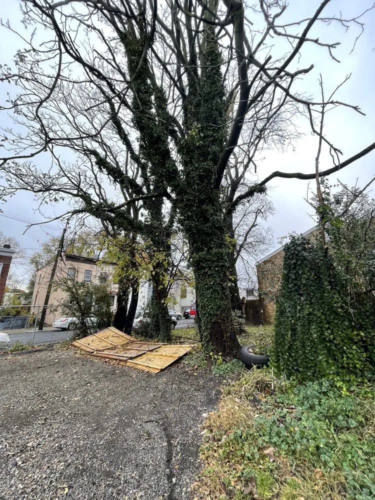 Expert lawn care service experts serving Trenton, NJ - Ramos Tree Service And Landscaping