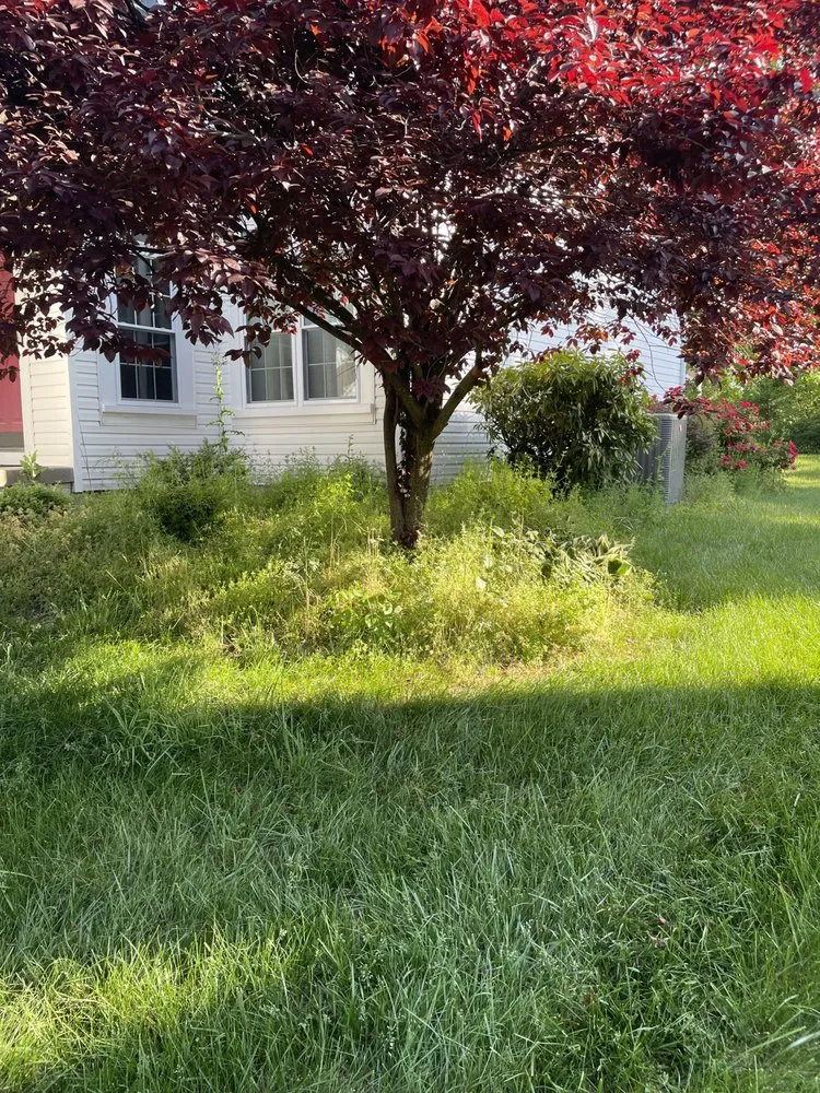 Professional lawn mowing service in Trenton, NJ - Ramos Tree Service And Landscaping