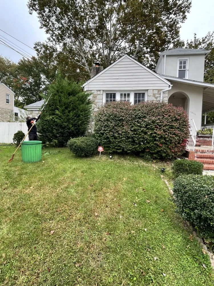 Top-rated garden landscaping for residential properties across Trenton, NJ - Ramos Tree Service And Landscaping