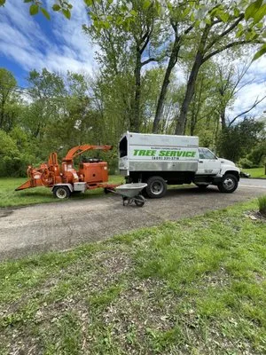 Ramos Tree Service And Landscaping Logo