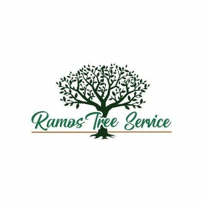 Trusted yard maintenance for outdoor upgrades in Chicago, IL by Ramos Tree Service