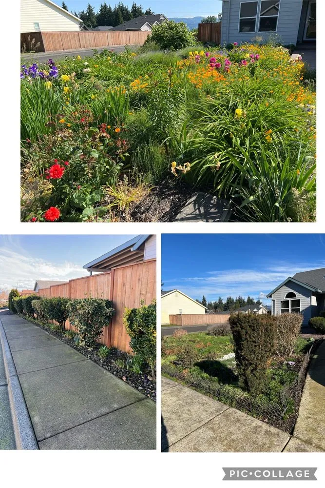 Reliable lawn mowing service near you in Warren, OR by Ramos Yard Maintenance