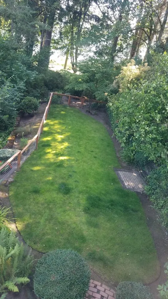 Reliable yard cleanup service for year-round maintenance in Warren, OR by Ramos Yard Maintenance