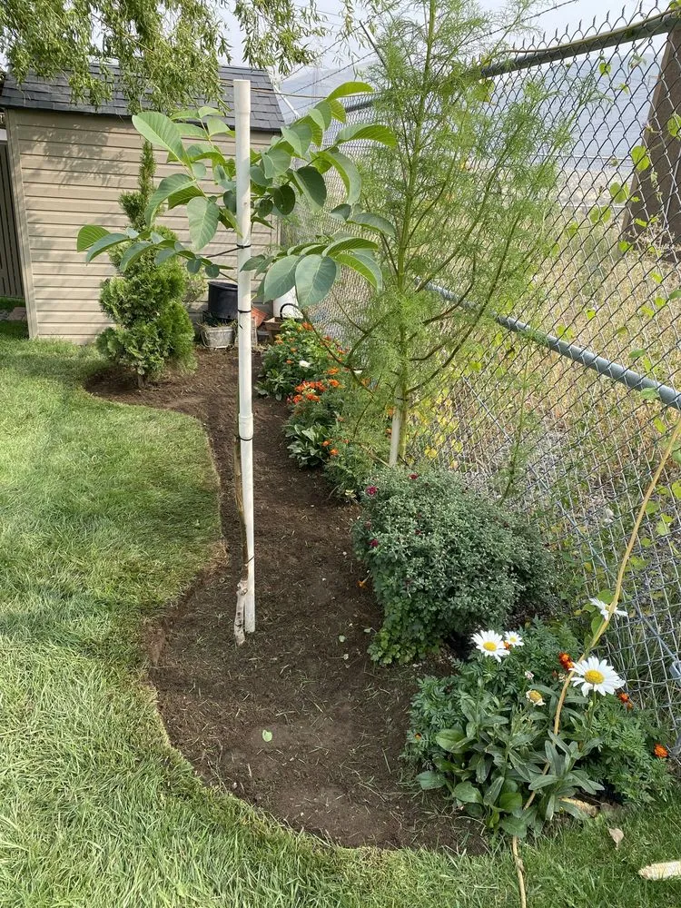 Trusted residential landscaping in Rock Island, WA by Ramos Yard Service’s