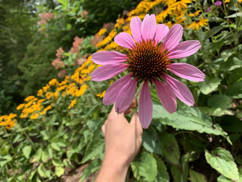 Affordable outdoor landscaping with custom design in Carlisle, PA by Ramper Construction