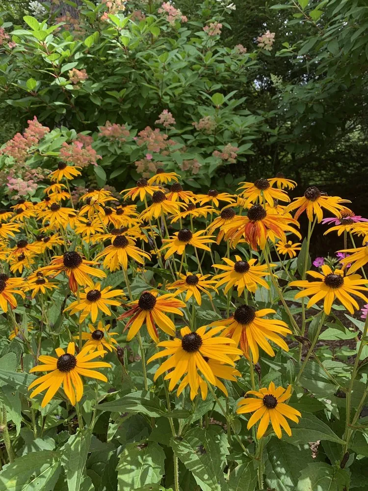 Expert garden landscaping with custom design across Carlisle, PA - Ramper Construction