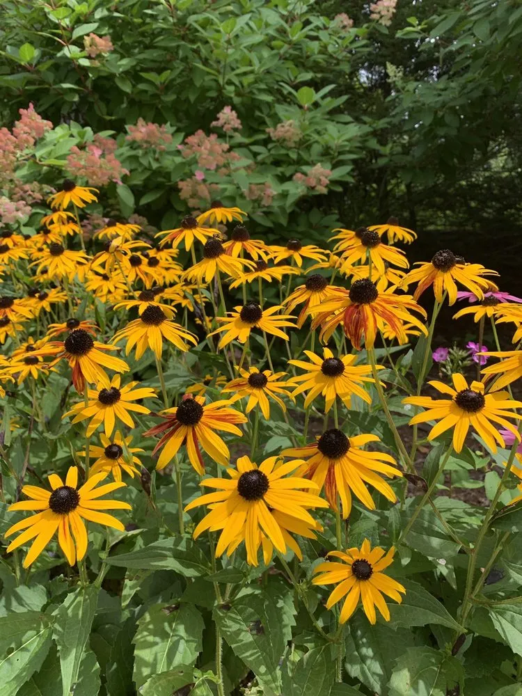 Top-rated lawn mowing service with custom design across Carlisle, PA - Ramper Construction