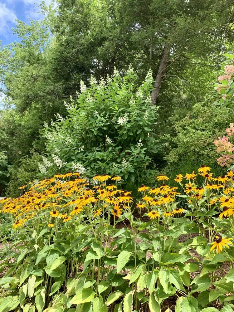 Local garden landscaping in Carlisle, PA - Ramper Construction