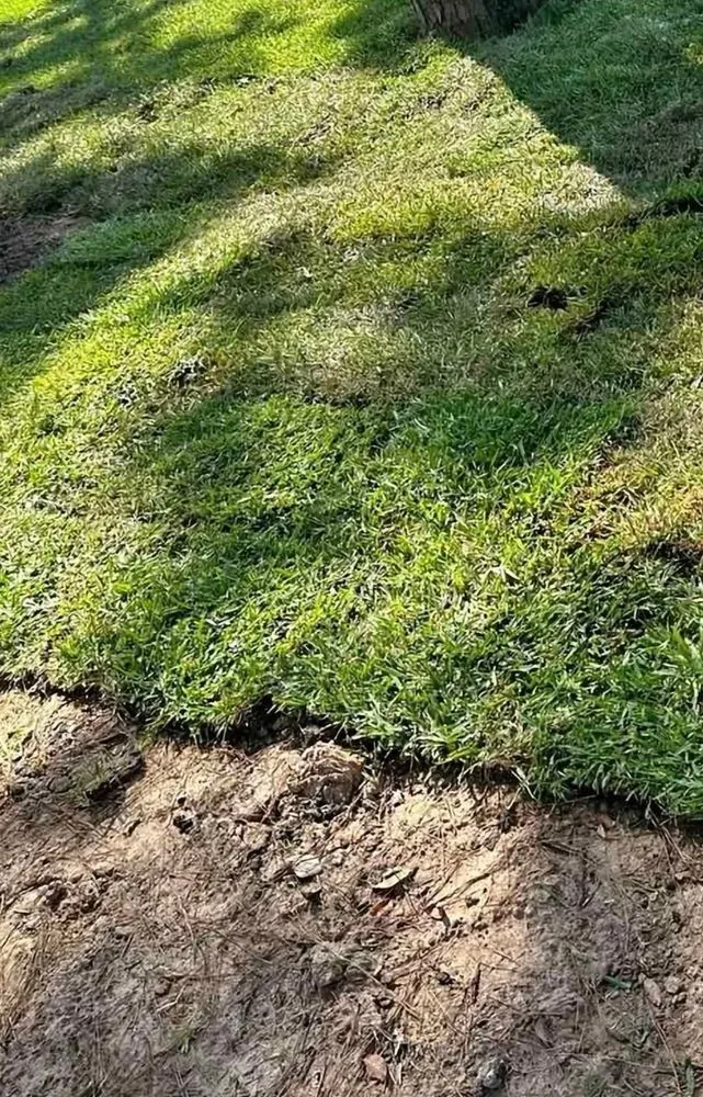 Custom lawn care service with custom design across Plano, TX - Ramírez Irrigación Sprinkler Service