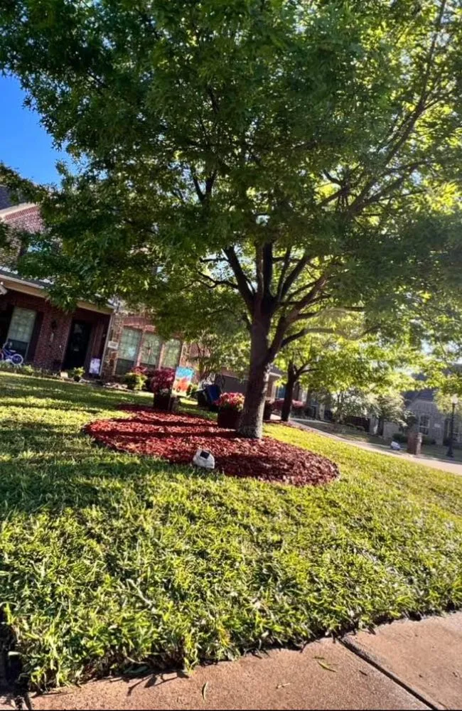 Top-rated residential landscaping in Plano, TX by Ramírez Irrigación Sprinkler Service