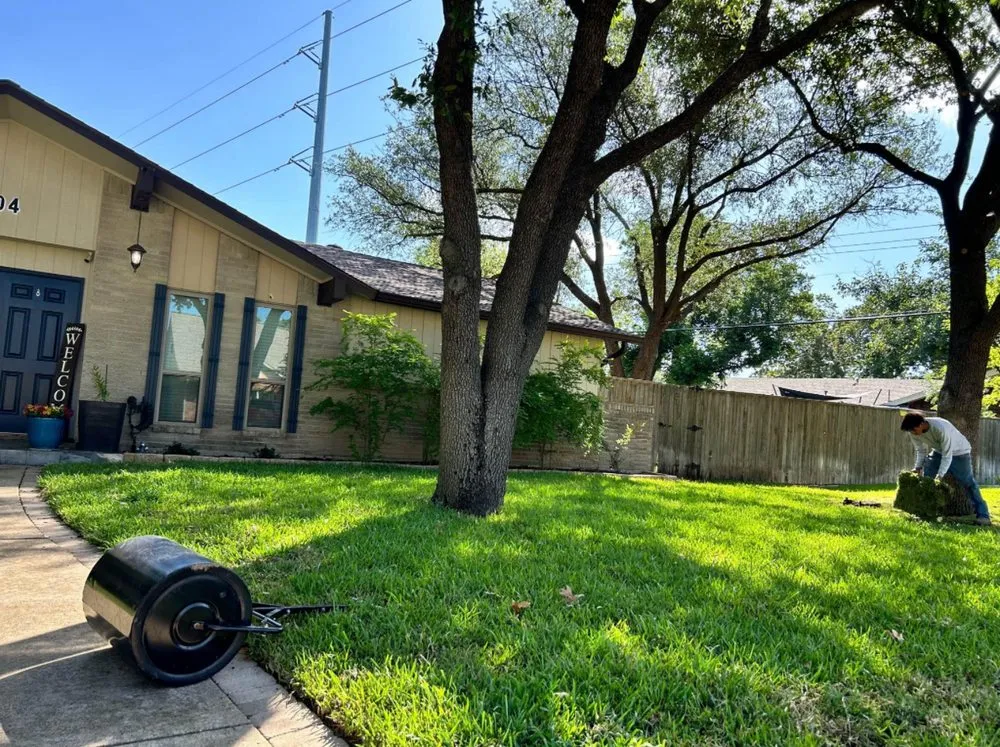 Top-rated residential landscaping in Plano, TX by Ramírez Irrigación Sprinkler Service