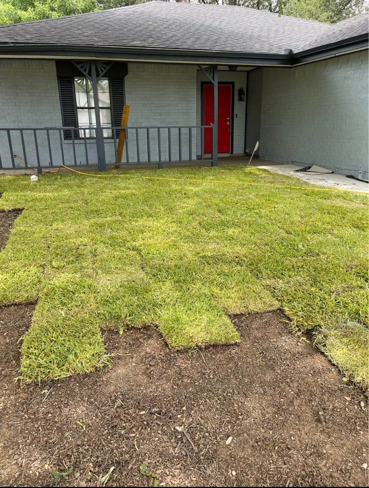 Reliable lawn care service near you in Plano, TX by Ramírez Irrigación Sprinkler Service